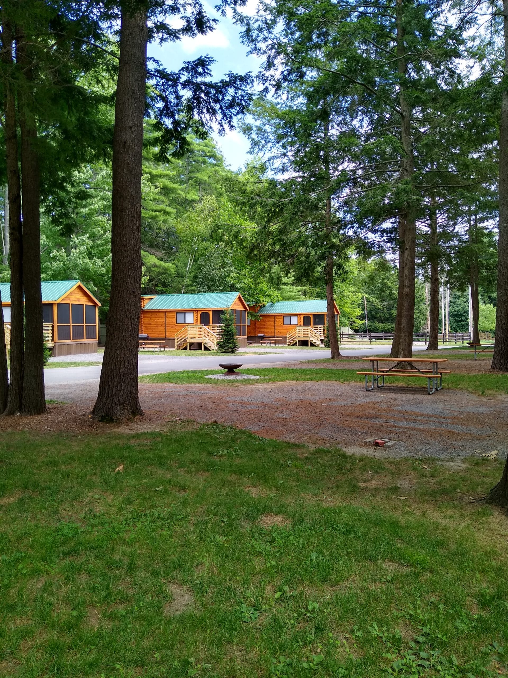 Cabins from site 445